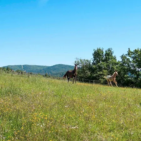 Campagne Saint-jean 122s Holiday home Pierrerue (Alpes-de-Haute-Provence)